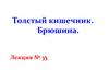 Толстый кишечник. Брюшина. Лекция №35