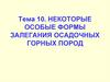 Некоторые особые формы залегания осадочных горных пород. Тема 10