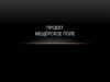 Проект "Мещёрское поле"