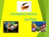 Аквариумные рыбки