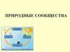 Природное сообщество