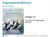 Foundations of Organization Structure. Chapter 15