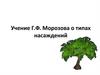 Учение Г.Ф. Морозова о типах насаждений