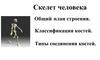 Скелет человека. Общий план строения. Классификация костей. Типы соединения костей