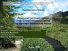 Сільський (зелений) туризм: стан та перспективи розвитку на території Українських Карпат