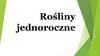 Rośliny jednoroczne