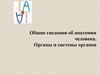 Общие сведения об анатомии человека. Органы и системы органов