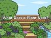 What Does a Plant Need?