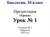 Инструктаж по мерам безопасности. Главные действия учителя при обучении детей