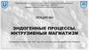 Эндогенные процессы. Интрузивный магматизм