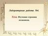 Изучение строения позвонков. Лабораторная работа №4