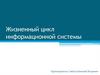 Жизненный цикл информационной системы