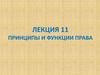 Принципы и функции права  (лекция 11)