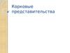 Корковые представительства
