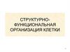 Структурно-функциональная организация клетки