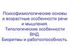 Психофизиологические основы и возрастные особенности речи и мышления. Типологические особенности ВНД. Биоритмы
