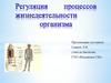 Регуляция процессов жизнедеятельности организма