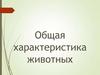 Общая характеристика животных