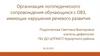 Организация логопедического сопровождения обучающихся с ОВЗ, имеющих нарушения речевого развития