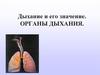 Дыхание и его значение. Органы дыхания