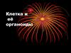 Клетка и её органоиды