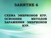 Схема эмбрионов кур. Освоение методов заражения эмбрионов кур