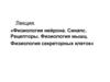 Физиология нейрона. Синапс. Рецепторы. Физиология мышц. Физиология секреторных клеток