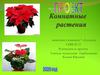 Комнатные растения. 7 класс