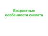Возрастные особенности скелета