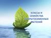 Классы и семейства покрытосеменных растений