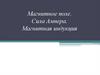 Магнитное поле. Сила Ампера. Магнитная индукция
