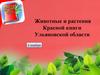 Животные и растения Красной книги Ульяновской области