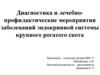 Диагностика и лечебно-профилактические мероприятия заболеваний эндокринной системы крупного рогатого скота