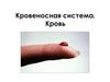 Кровеносная система. Кровь