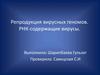 Репродукция вирусных геномов. РНК-содержащие вирусы