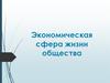 Экономическая сфера жизни общества