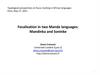 Focalization in two Mande languages: Mandinka and Soninke