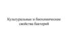 Культуральные и биохимические свойства бактерий