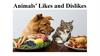 Animals’ Likes and Dislikes