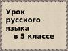 Сказки А.С. Пушкина. Урок русского языка в 5 классе