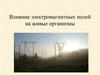 Влияние электромагнитных полей на живые организмы