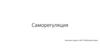 Саморегуляция