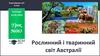 Рослинний і тваринний світ Австралії