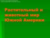 Растительный и животный мир Южной Америки