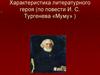 Характеристика литературного героя (по повести И.С. Тургенева «Муму» )