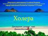 Холера. Определение. Исторические сведения