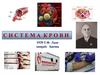 Система крови. Состав и функции внутренней среды организма