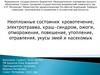 Неотложные состояния: кровотечение, электротравма, краш-синдром, ожоги, отморожения, повешение, утопление, отравления