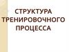 Структура тренировочного процесса. Лекция 11