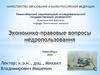 Экономико - правовые вопросы недропользования